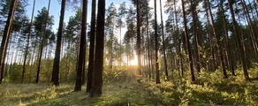 Tver Migalovo: частен самолет под наем