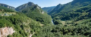 Жабляк : частен самолет под наем
