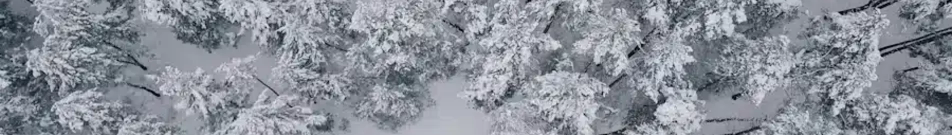Жулиани : частен самолет под наем