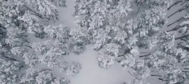Керч : частен самолет под наем