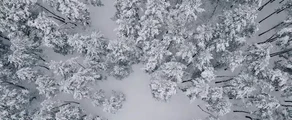 Жулиани : частен самолет под наем