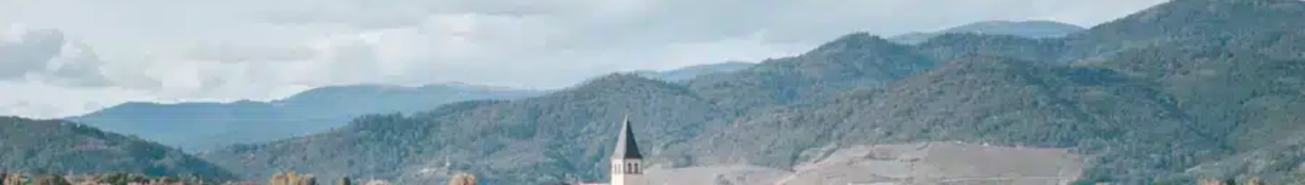 Рязане