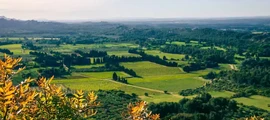 Частен самолет под наем в Epernay
