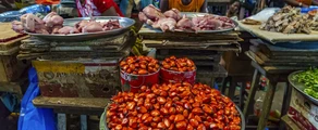Korhogo : частен самолет под наем