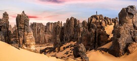 Biskra: частен самолет под наем 