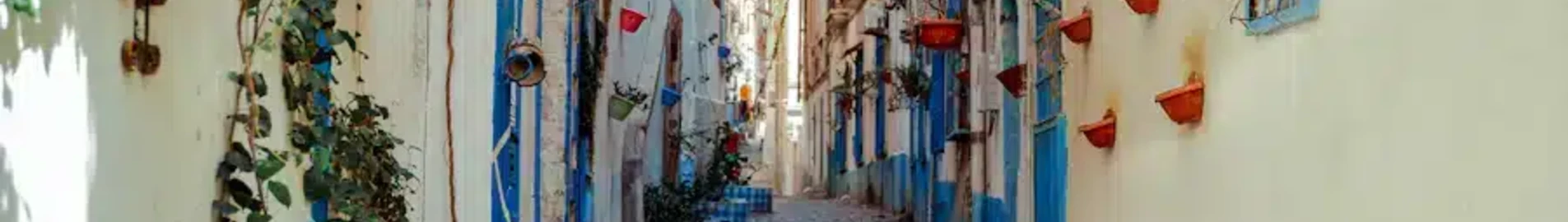 Annaba: частен самолет под наем