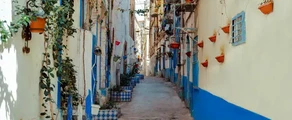 Annaba: частен самолет под наем