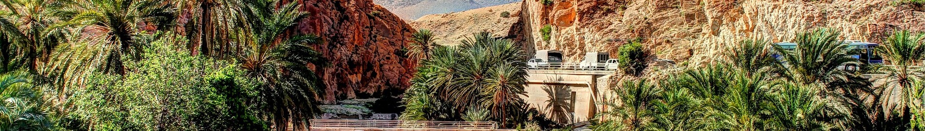 Biskra: частен самолет под наем 