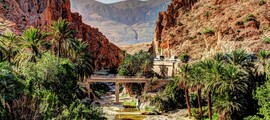 El Oued Guemar: частен самолет под наем