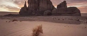 Наем на частен самолет в Алжир