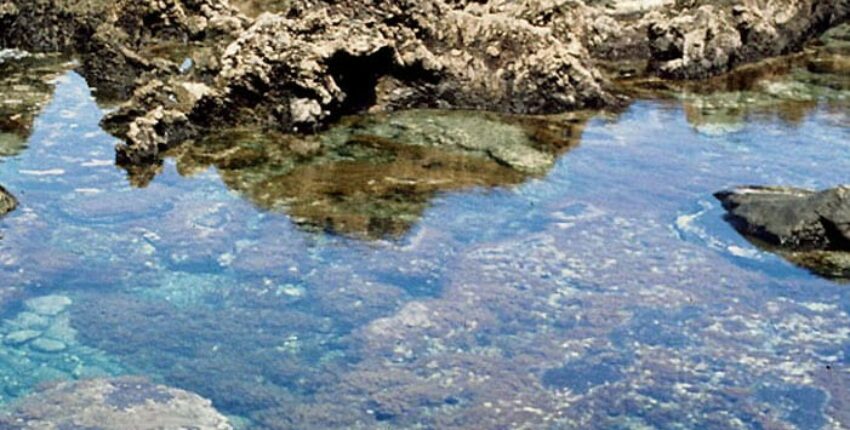 Наемете частен самолет от летище El Hierro