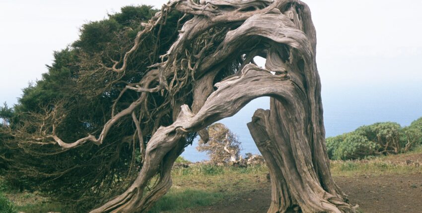 Наемете частен самолет от летище El Hierro