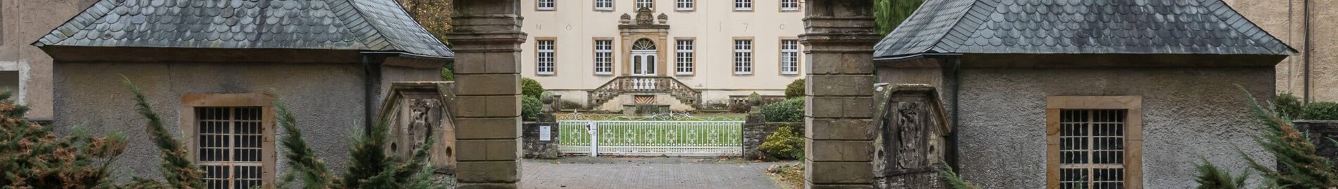 Atterheide : частен самолет под наем