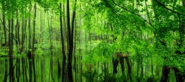 Мюнхен Мюнхен: частен самолет под наем 