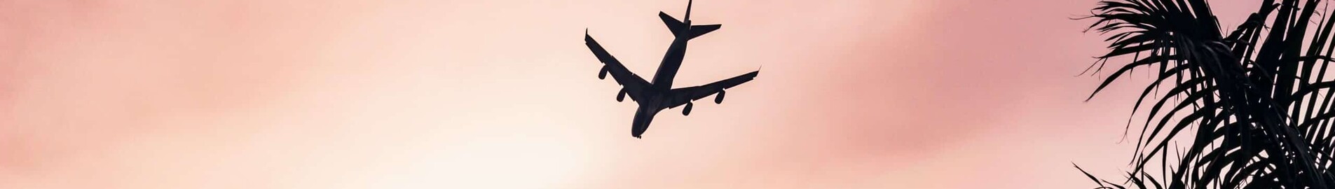 Натоварено лято за бизнес авиацията през 2023 г.?