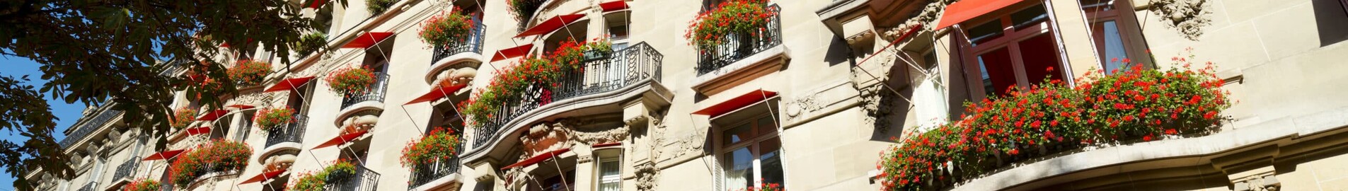 Луксозен хотел в Париж: мечтаният престой в Hôtel Plaza Athénée