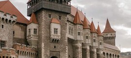 Caransebes : частен самолет под наем 