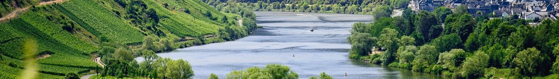 Европейски лозя за посещение с частен самолет