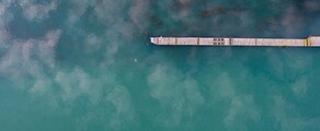 Лос Анджелис - Детройт : наем на частен самолет