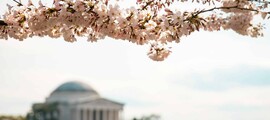 Ню Йорк - Лондон : наем на частен самолет