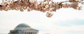 Лас Вегас - Вашингтон : наем на частен самолет