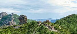 Ню Йорк - Цюрих : частен самолет под наем