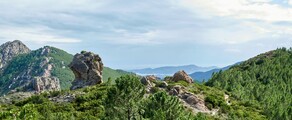 Сен Мориц - Фигари : наем на частен самолет