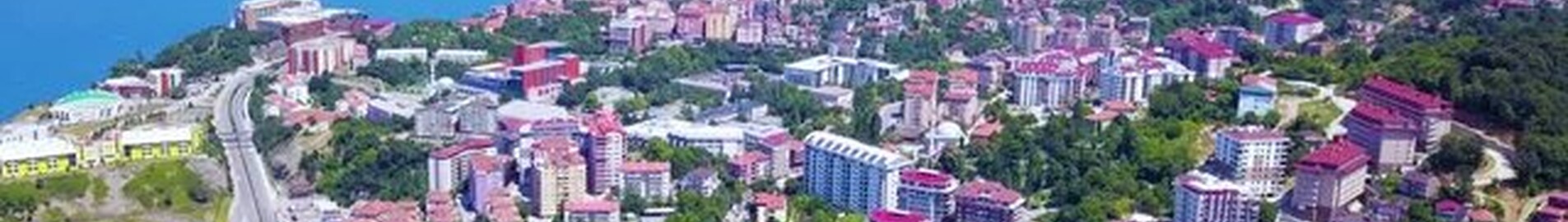 Зонгулдак: наемане на частен самолет